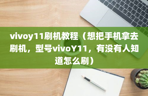 vivoy11刷机教程（想把手机拿去刷机，型号vivoY11，有没有人知道怎么刷）