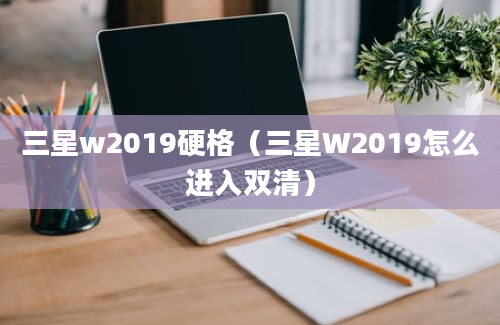 三星w2019硬格（三星W2019怎么进入双清）