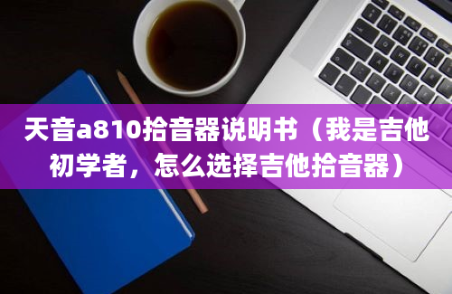 天音a810拾音器说明书（我是吉他初学者，怎么选择吉他拾音器）