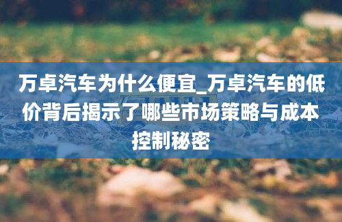 万卓汽车为什么便宜_万卓汽车的低价背后揭示了哪些市场策略与成本控制秘密