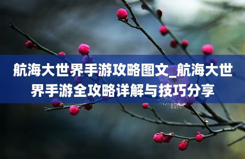 航海大世界手游攻略图文_航海大世界手游全攻略详解与技巧分享