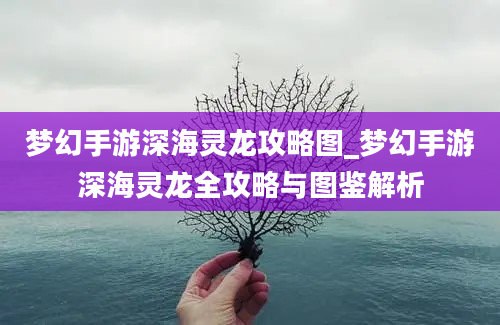 梦幻手游深海灵龙攻略图_梦幻手游深海灵龙全攻略与图鉴解析