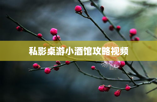 私影桌游小酒馆攻略视频