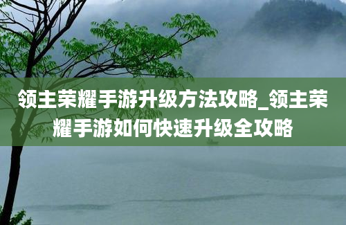 领主荣耀手游升级方法攻略_领主荣耀手游如何快速升级全攻略