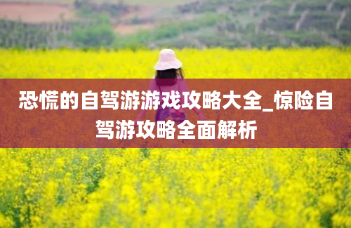 恐慌的自驾游游戏攻略大全_惊险自驾游攻略全面解析