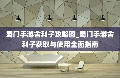 蜀门手游舍利子攻略图_蜀门手游舍利子获取与使用全面指南