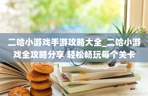 二哈小游戏手游攻略大全_二哈小游戏全攻略分享 轻松畅玩每个关卡