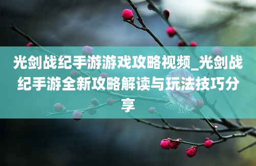 光剑战纪手游游戏攻略视频_光剑战纪手游全新攻略解读与玩法技巧分享