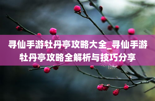 寻仙手游牡丹亭攻略大全_寻仙手游牡丹亭攻略全解析与技巧分享