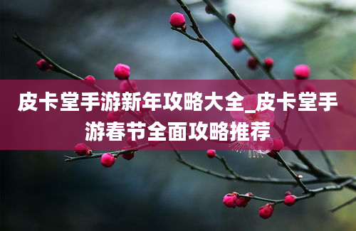 皮卡堂手游新年攻略大全_皮卡堂手游春节全面攻略推荐