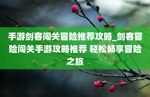 手游剑客闯关冒险推荐攻略_剑客冒险闯关手游攻略推荐 轻松畅享冒险之旅