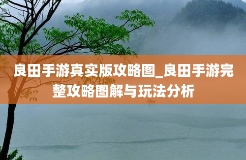 良田手游真实版攻略图_良田手游完整攻略图解与玩法分析