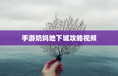 手游奶妈地下城攻略视频