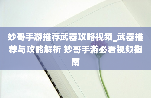 妙哥手游推荐武器攻略视频_武器推荐与攻略解析 妙哥手游必看视频指南