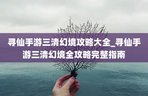 寻仙手游三清幻境攻略大全_寻仙手游三清幻境全攻略完整指南