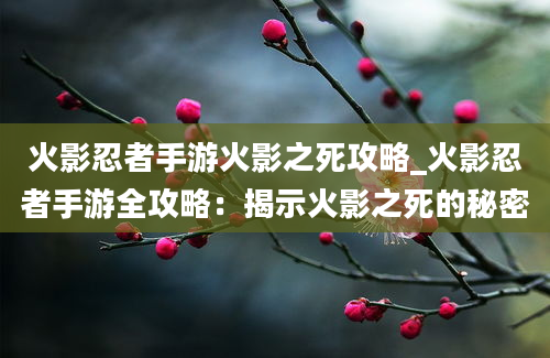 火影忍者手游火影之死攻略_火影忍者手游全攻略：揭示火影之死的秘密