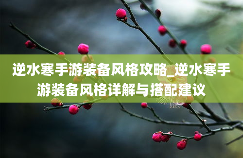 逆水寒手游装备风格攻略_逆水寒手游装备风格详解与搭配建议