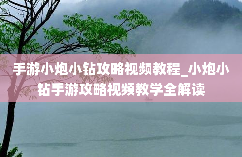 手游小炮小钻攻略视频教程_小炮小钻手游攻略视频教学全解读