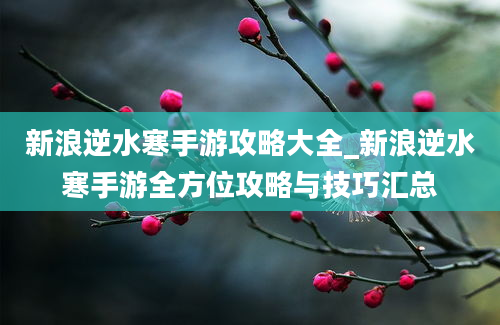 新浪逆水寒手游攻略大全_新浪逆水寒手游全方位攻略与技巧汇总