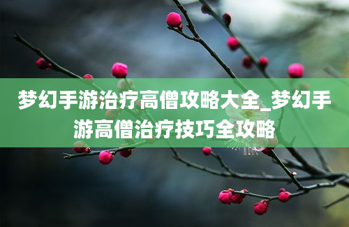 梦幻手游治疗高僧攻略大全_梦幻手游高僧治疗技巧全攻略