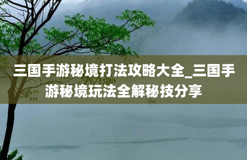 三国手游秘境打法攻略大全_三国手游秘境玩法全解秘技分享