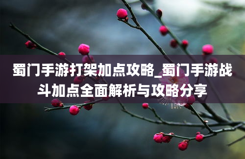 蜀门手游打架加点攻略_蜀门手游战斗加点全面解析与攻略分享