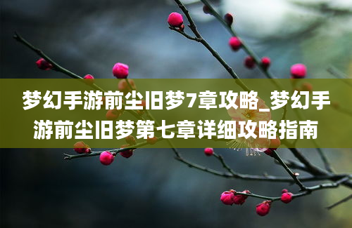 梦幻手游前尘旧梦7章攻略_梦幻手游前尘旧梦第七章详细攻略指南