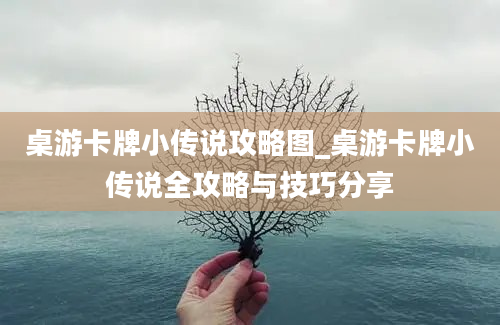 桌游卡牌小传说攻略图_桌游卡牌小传说全攻略与技巧分享