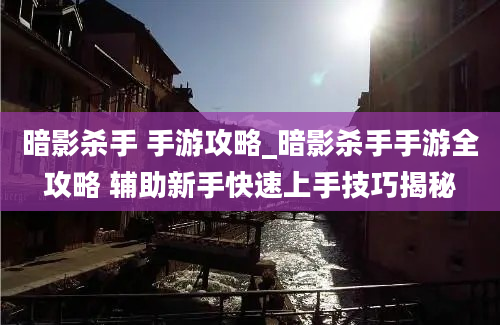 暗影杀手 手游攻略_暗影杀手手游全攻略 辅助新手快速上手技巧揭秘