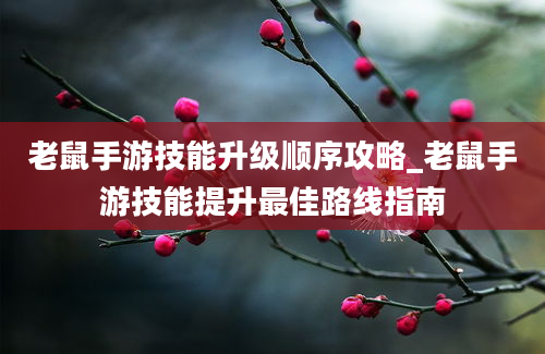 老鼠手游技能升级顺序攻略_老鼠手游技能提升最佳路线指南