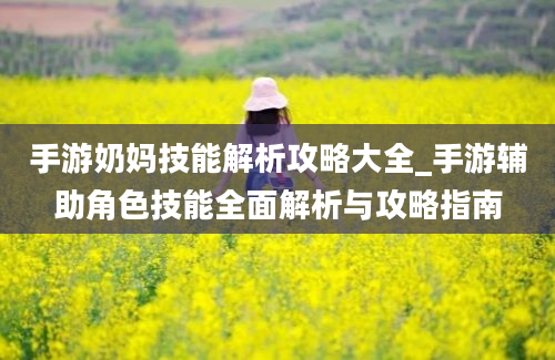 手游奶妈技能解析攻略大全_手游辅助角色技能全面解析与攻略指南