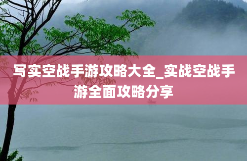 写实空战手游攻略大全_实战空战手游全面攻略分享