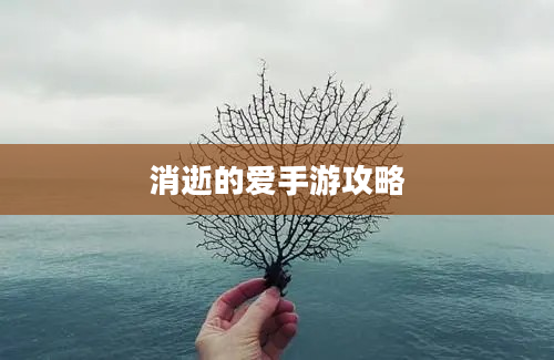 消逝的爱手游攻略