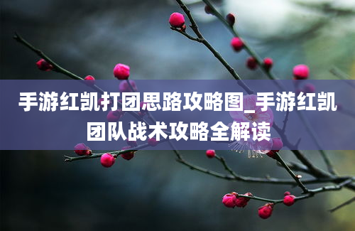 手游红凯打团思路攻略图_手游红凯团队战术攻略全解读