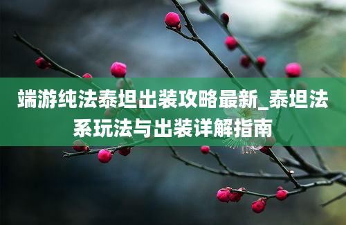 端游纯法泰坦出装攻略最新_泰坦法系玩法与出装详解指南