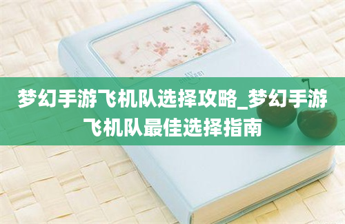 梦幻手游飞机队选择攻略_梦幻手游飞机队最佳选择指南