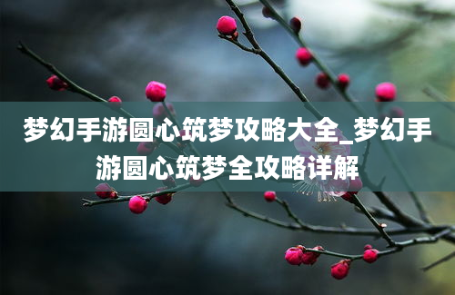 梦幻手游圆心筑梦攻略大全_梦幻手游圆心筑梦全攻略详解