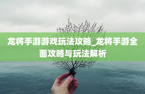 龙将手游游戏玩法攻略_龙将手游全面攻略与玩法解析