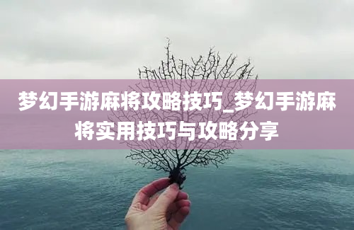 梦幻手游麻将攻略技巧_梦幻手游麻将实用技巧与攻略分享