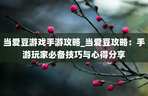 当爱豆游戏手游攻略_当爱豆攻略：手游玩家必备技巧与心得分享