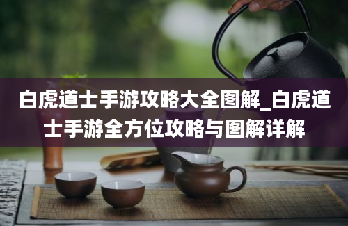 白虎道士手游攻略大全图解_白虎道士手游全方位攻略与图解详解