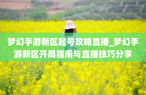 梦幻手游新区起号攻略直播_梦幻手游新区开局指南与直播技巧分享