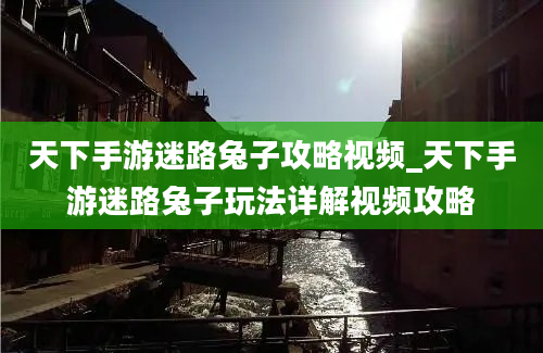 天下手游迷路兔子攻略视频_天下手游迷路兔子玩法详解视频攻略