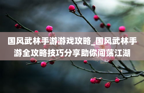 国风武林手游游戏攻略_国风武林手游全攻略技巧分享助你闯荡江湖