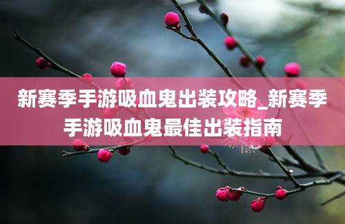 新赛季手游吸血鬼出装攻略_新赛季手游吸血鬼最佳出装指南