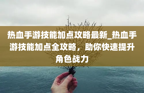 热血手游技能加点攻略最新_热血手游技能加点全攻略，助你快速提升角色战力