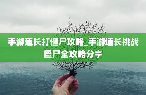 手游道长打僵尸攻略_手游道长挑战僵尸全攻略分享