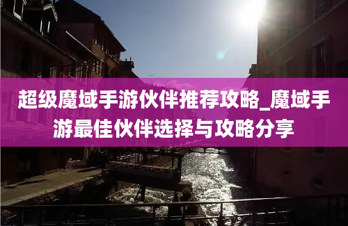 超级魔域手游伙伴推荐攻略_魔域手游最佳伙伴选择与攻略分享