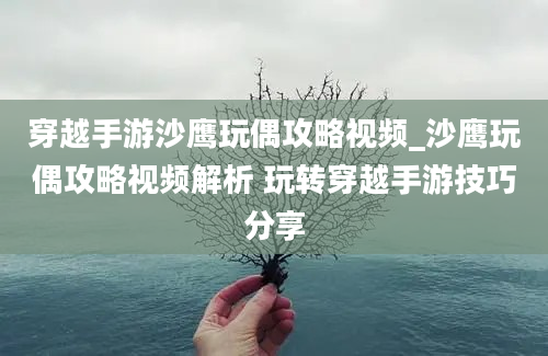 穿越手游沙鹰玩偶攻略视频_沙鹰玩偶攻略视频解析 玩转穿越手游技巧分享