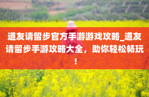 道友请留步官方手游游戏攻略_道友请留步手游攻略大全，助你轻松畅玩！